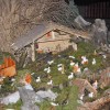 tratnikove_jaslice2_1_12_016.jpg