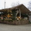 jaslice_rajnovsce027.jpg