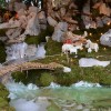 jaslice_rajnovsce011.jpg