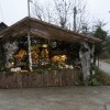 jaslice_rajnovsce025.jpg