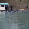 potapljaci_2011_2_rn.jpg