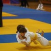pohorski_12_026_000.jpg