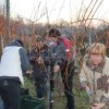 trgatev_zajc_z__120105.jpg