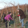 trgatev_zajc_z__120103.jpg