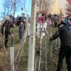 vincekovo_025.jpg