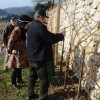 sv__vincenc_obeta_zelo_dober_pridelek_v_grajskem_vinogradu042.jpg