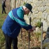 sv__vincenc_obeta_zelo_dober_pridelek_v_grajskem_vinogradu046.jpg
