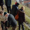 sv__vincenc_obeta_zelo_dober_pridelek_v_grajskem_vinogradu030.jpg
