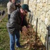 sv__vincenc_obeta_zelo_dober_pridelek_v_grajskem_vinogradu060.jpg