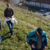 sv__vincenc_obeta_zelo_dober_pridelek_v_grajskem_vinogradu058.jpg