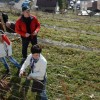 sv__vincenc_obeta_zelo_dober_pridelek_v_grajskem_vinogradu037.jpg