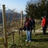sv__vincenc_obeta_zelo_dober_pridelek_v_grajskem_vinogradu014.jpg