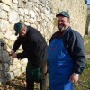 sv__vincenc_obeta_zelo_dober_pridelek_v_grajskem_vinogradu040.jpg