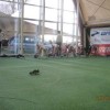 img_1164.jpg