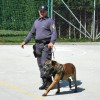 policijski_pes_z_vodnikom_pp.jpg