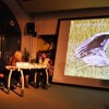 adsc_1466.jpg