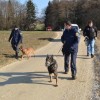 akcija0016.jpg