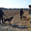 akcija0010.jpg