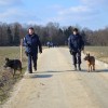 akcija0019.jpg