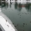 img_6752_000.jpg
