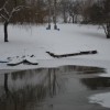 krka0011.jpg