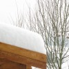sneg_feb_2012.jpg