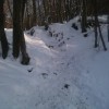 img_0809.jpg