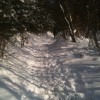 img_0816.jpg