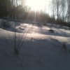 img_0804.jpg