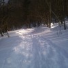 img_0802.jpg