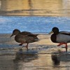 dsc_0236_000.jpg