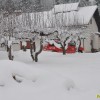 2012_02_12_kidanje_snega_pgd_gradac_05.jpg