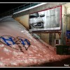 slika_029.jpg