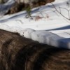 img_4478.jpg
