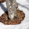 img_4449.jpg