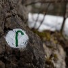 img_4486.jpg