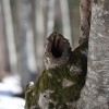 img_4468.jpg