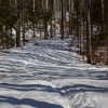 img_4458.jpg
