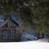 img_4484.jpg