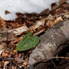 img_4471.jpg