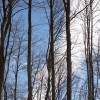 img_4434.jpg