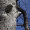 img_4439.jpg