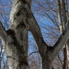 img_4450.jpg