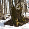 img_4436.jpg