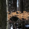 img_4465.jpg
