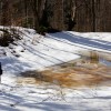 img_4441.jpg
