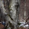 img_4438.jpg