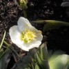 dscn1936_000.jpg