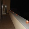 img_5141_000.jpg