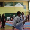 zalec_053.jpg